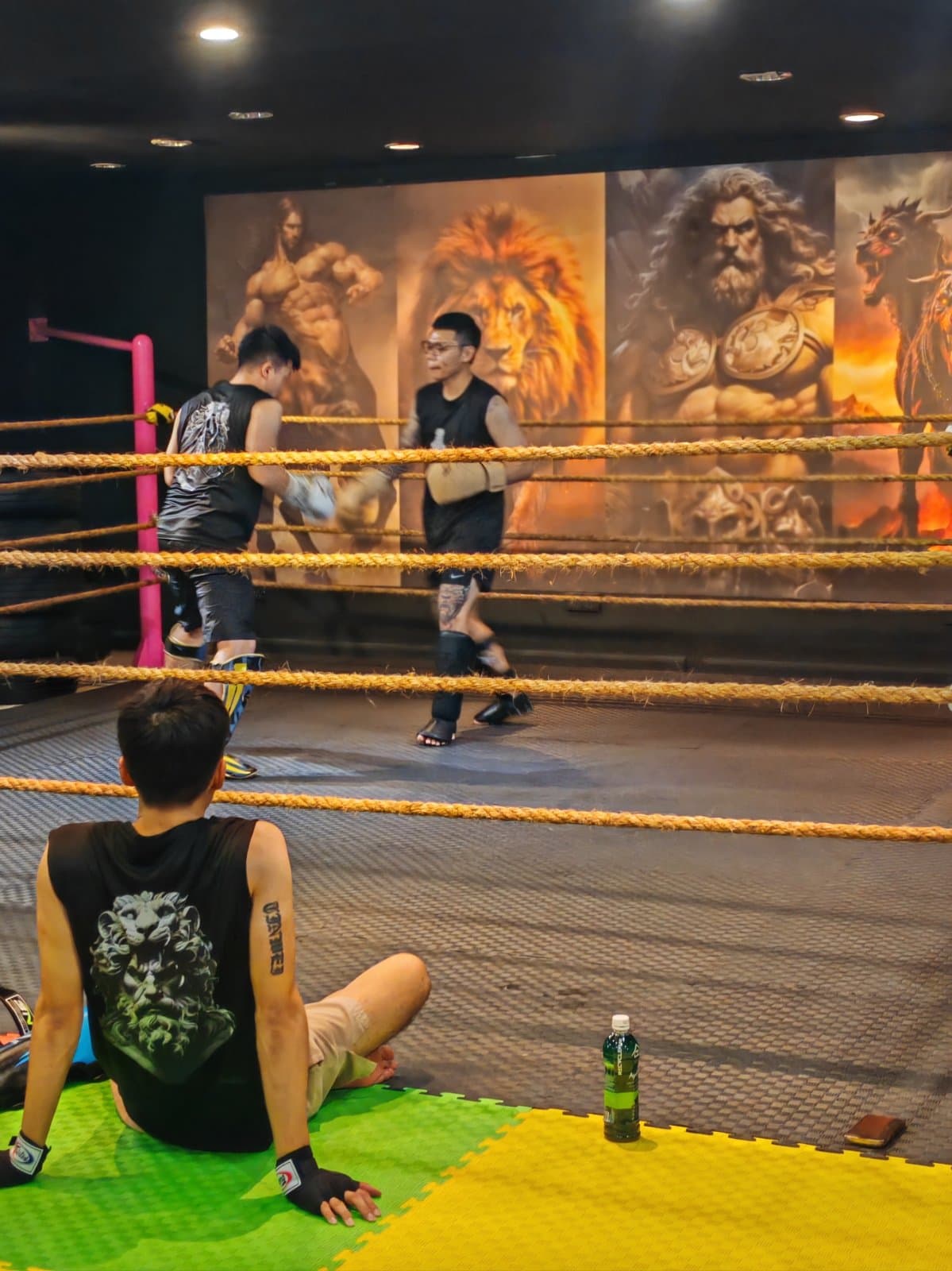 Sparring at Hercules Factory
